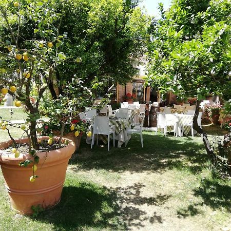 Villa Esmeralda Amantea Ngoại thất bức ảnh